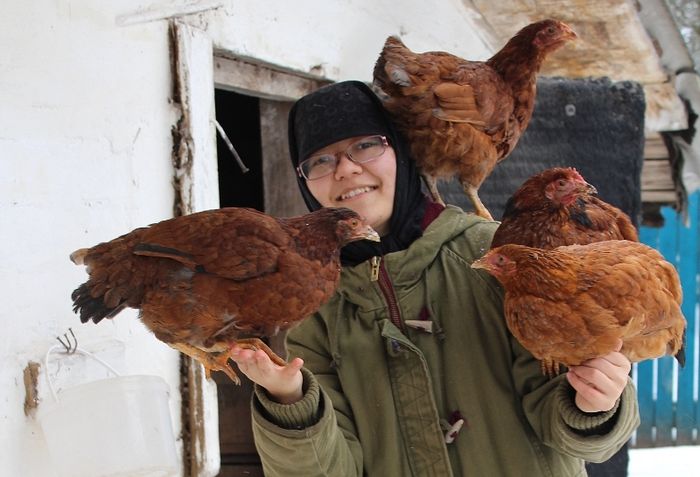 The convent’s chicken-house